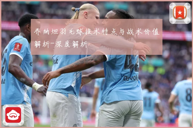 乔纳坦羽毛球技术特点与战术价值解析-深度解析